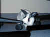 bunny-conf2.jpg (97916 bytes)