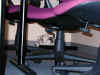 bunny-lurking.jpg (120282 bytes)