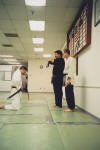 [brown belt 1]
